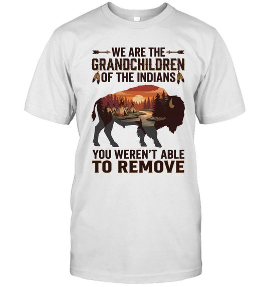 WE ARE THE GRANDCHILDREN OF THE INDIANS. YOU WEREN'T ABLE TO REMOVE