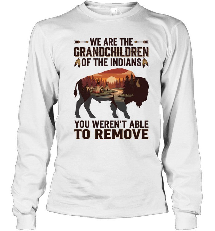 WE ARE THE GRANDCHILDREN OF THE INDIANS. YOU WEREN'T ABLE TO REMOVE