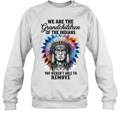 WE ARE THE Grandchildren OF THE INDIANS YOU WEREN'T ABLE TO REMOVE