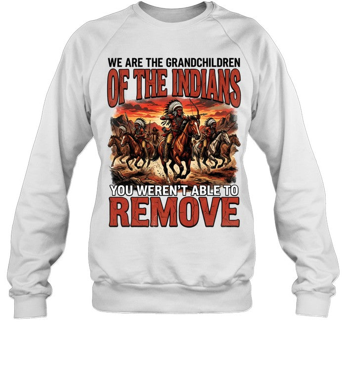 WE ARE THE GRANDCHILDREN OF THE INDIANS YOU WEREN'T ABLE TO REMOVE