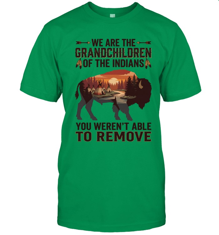 WE ARE THE GRANDCHILDREN OF THE INDIANS. YOU WEREN'T ABLE TO REMOVE