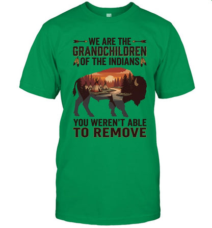 WE ARE THE GRANDCHILDREN OF THE INDIANS. YOU WEREN'T ABLE TO REMOVE