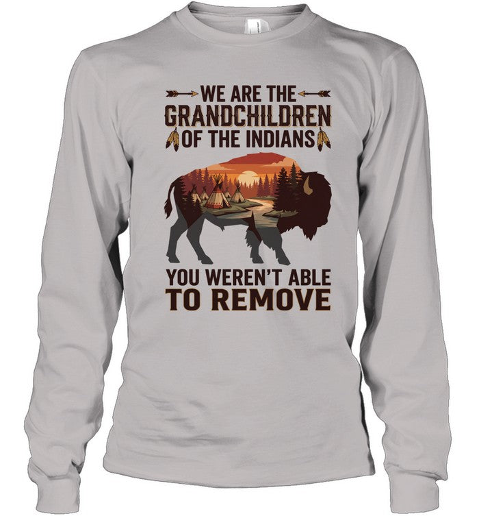 WE ARE THE GRANDCHILDREN OF THE INDIANS. YOU WEREN'T ABLE TO REMOVE