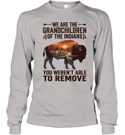 WE ARE THE GRANDCHILDREN OF THE INDIANS. YOU WEREN'T ABLE TO REMOVE