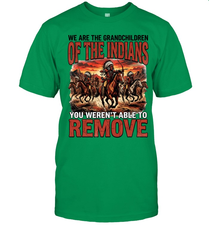 WE ARE THE GRANDCHILDREN OF THE INDIANS YOU WEREN'T ABLE TO REMOVE