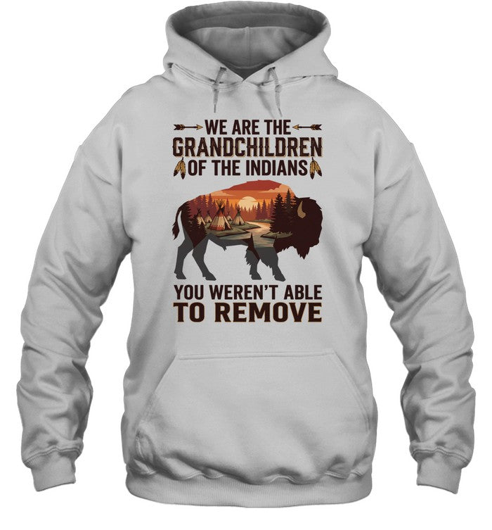 WE ARE THE GRANDCHILDREN OF THE INDIANS. YOU WEREN'T ABLE TO REMOVE