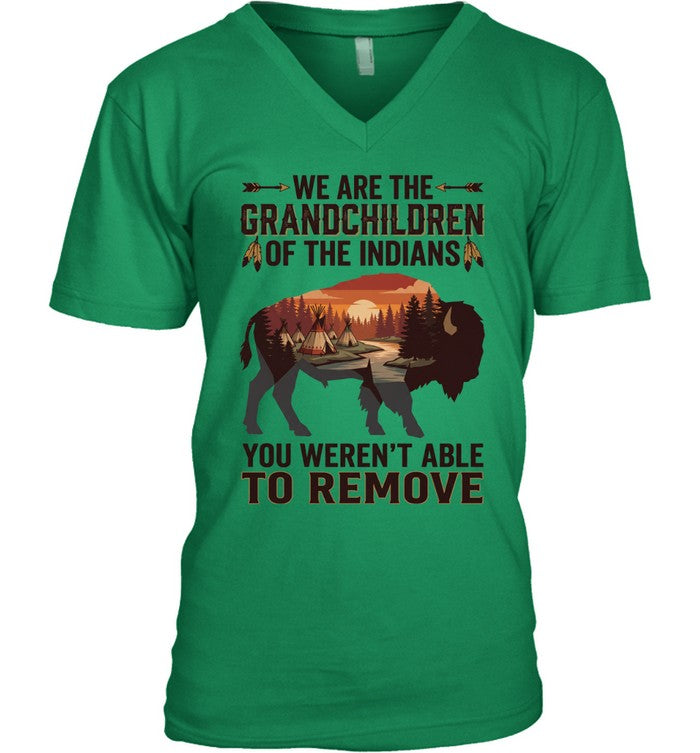 WE ARE THE GRANDCHILDREN OF THE INDIANS. YOU WEREN'T ABLE TO REMOVE