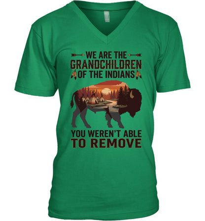 WE ARE THE GRANDCHILDREN OF THE INDIANS. YOU WEREN'T ABLE TO REMOVE