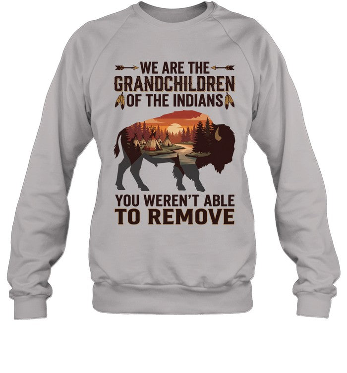 WE ARE THE GRANDCHILDREN OF THE INDIANS. YOU WEREN'T ABLE TO REMOVE
