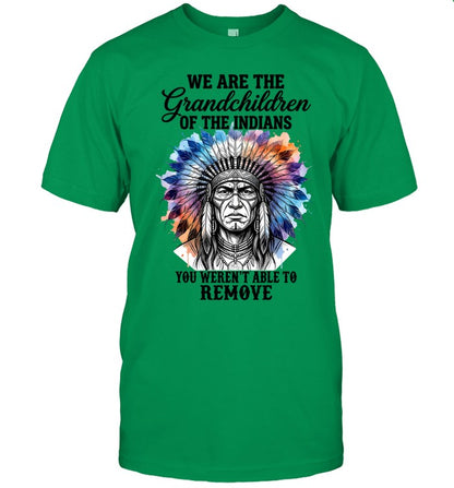WE ARE THE Grandchildren OF THE INDIANS YOU WEREN'T ABLE TO REMOVE