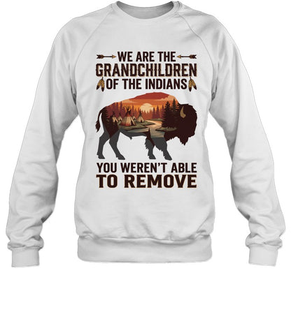 WE ARE THE GRANDCHILDREN OF THE INDIANS. YOU WEREN'T ABLE TO REMOVE