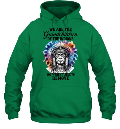 WE ARE THE Grandchildren OF THE INDIANS YOU WEREN'T ABLE TO REMOVE