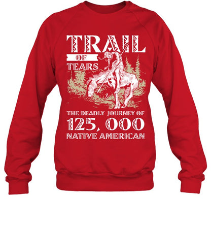 TRAIL OF TEARS THE DEADLY JOURNEY OF 125.000 NATIVE AMERICAN