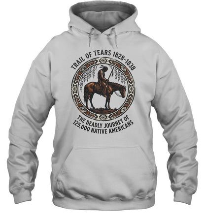 TRAIL OF TEARS 1828-1838 THE DEADLY JOURNEY OF 125,000 NATIVEAMERICANS