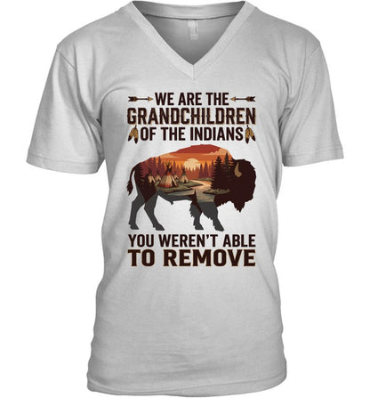 WE ARE THE GRANDCHILDREN OF THE INDIANS. YOU WEREN'T ABLE TO REMOVE