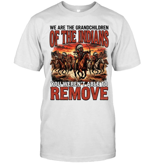 WE ARE THE GRANDCHILDREN OF THE INDIANS YOU WEREN'T ABLE TO REMOVE