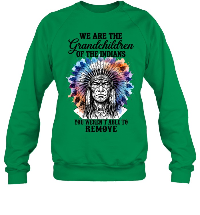 WE ARE THE Grandchildren OF THE INDIANS YOU WEREN'T ABLE TO REMOVE