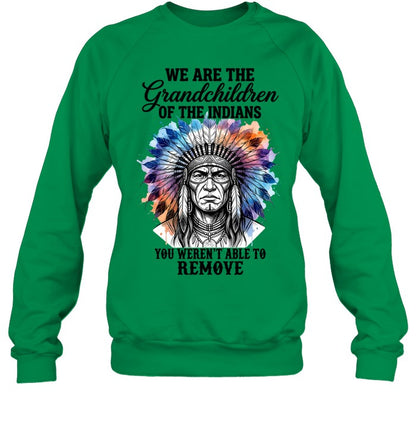 WE ARE THE Grandchildren OF THE INDIANS YOU WEREN'T ABLE TO REMOVE
