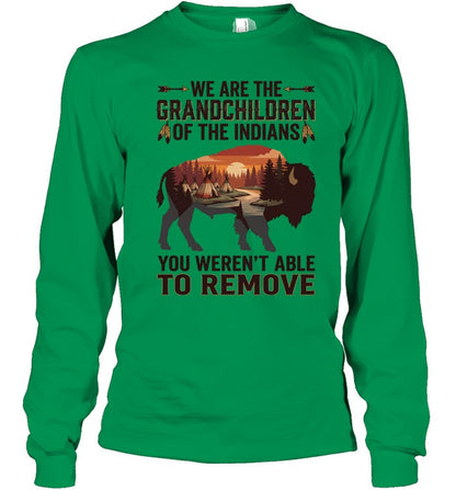 WE ARE THE GRANDCHILDREN OF THE INDIANS. YOU WEREN'T ABLE TO REMOVE