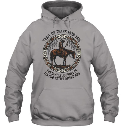 TRAIL OF TEARS 1828-1838 THE DEADLY JOURNEY OF 125,000 NATIVEAMERICANS