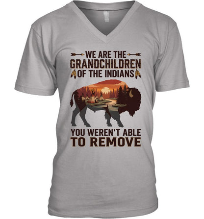WE ARE THE GRANDCHILDREN OF THE INDIANS. YOU WEREN'T ABLE TO REMOVE