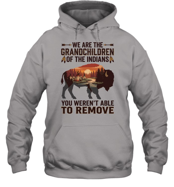WE ARE THE GRANDCHILDREN OF THE INDIANS. YOU WEREN'T ABLE TO REMOVE