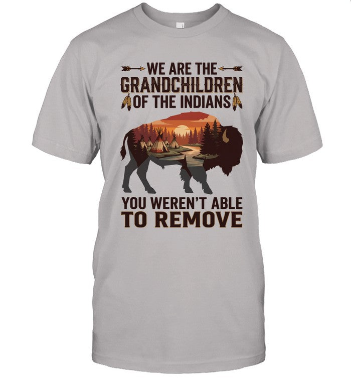 WE ARE THE GRANDCHILDREN OF THE INDIANS. YOU WEREN'T ABLE TO REMOVE