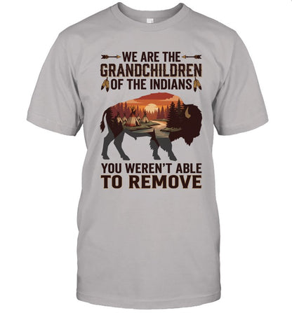 WE ARE THE GRANDCHILDREN OF THE INDIANS. YOU WEREN'T ABLE TO REMOVE